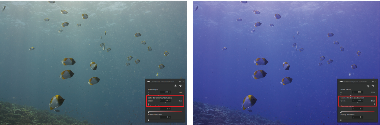 Adjust the Color Deflection Slider to adjust white balance to account for water transparency and murkiness
