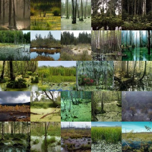 Dark Swamp Backgrounds Volume 1